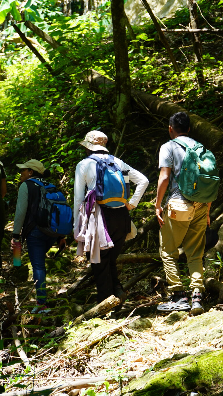 Caminando en la sierra