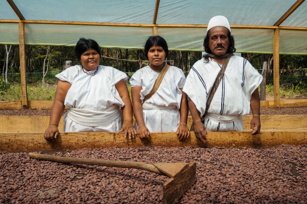 Centrales de Cacao - Asoseynekun