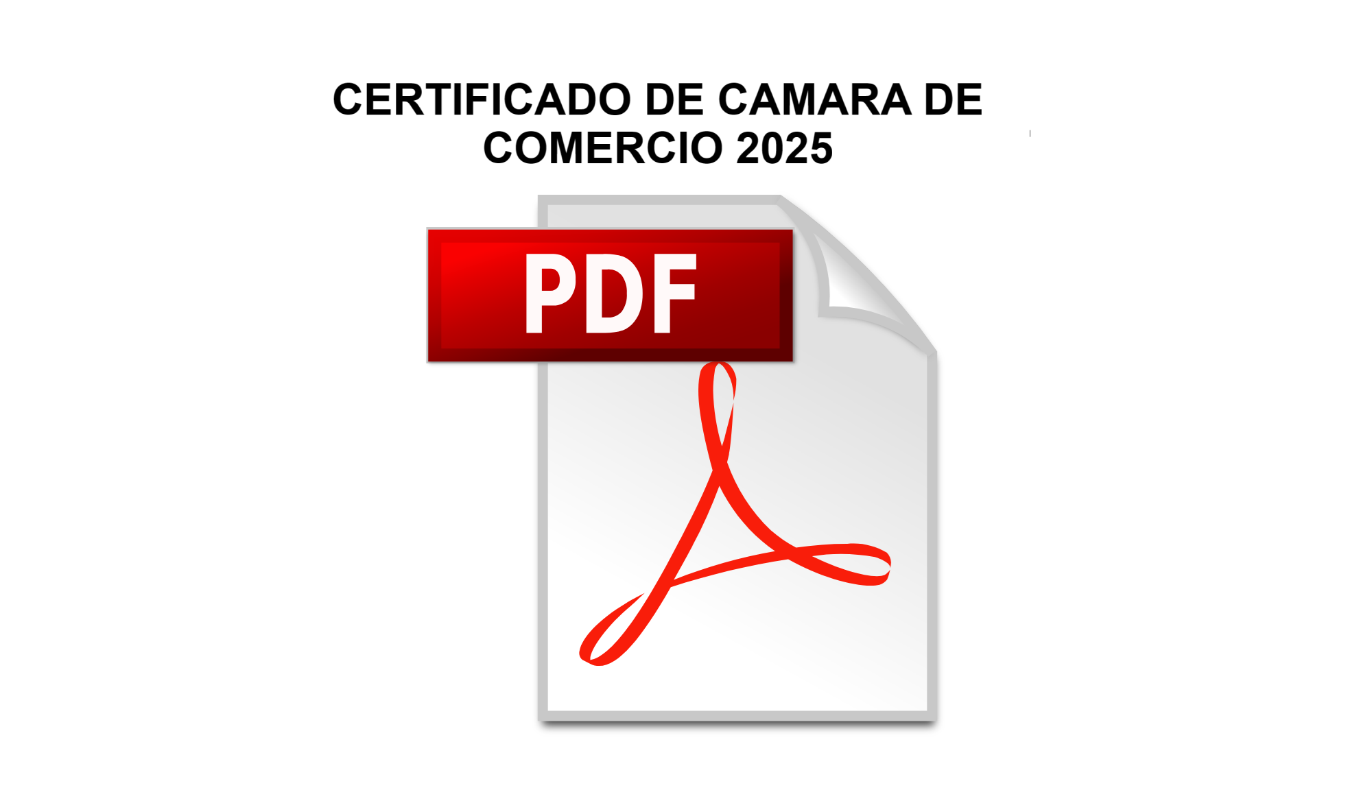 Cámara de comercio 2025 Cámara de comercio 2025