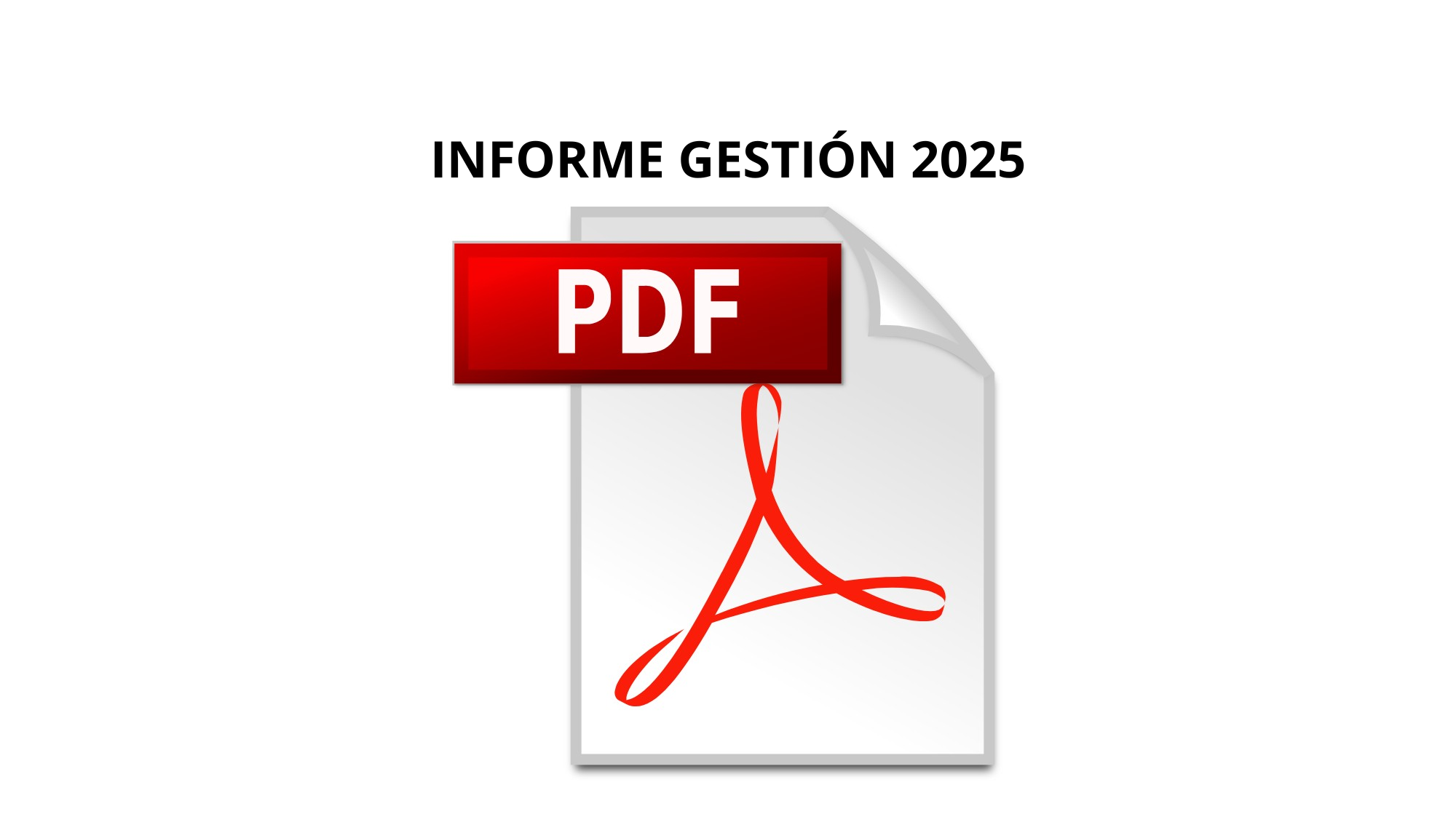 Informe de Gestión 2025